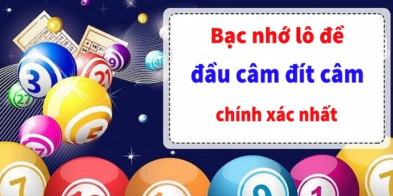 Giới thiệu về bạc nhớ đầu câm chi tiết nhất