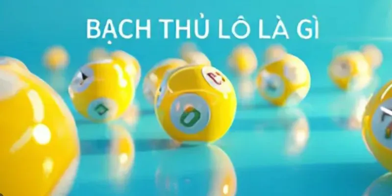 Bạch thủ lô là gì?