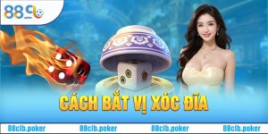 Những Cách Bắt Vị Xóc Đĩa Đỉnh Cao Cho Anh Em Bet Thủ