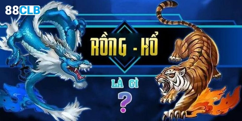 Rồng Hổ là gì?